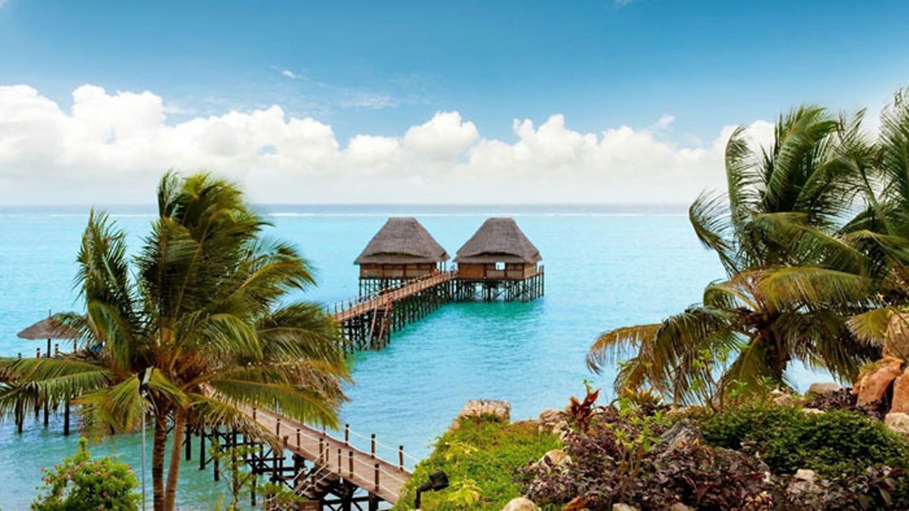 حجز طيران من الرياض إلى زنجبار