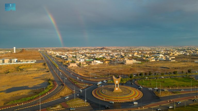 حجز طيران من الرياض إلى سكاكا