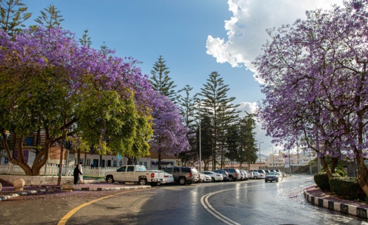 حجز طيران من جدة إلى ابها