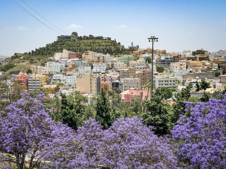 حجز طيران من تبوك إلى أبها